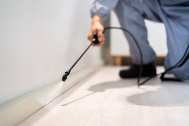 Professional exterminator conducting IPM assessment in Cold Spring